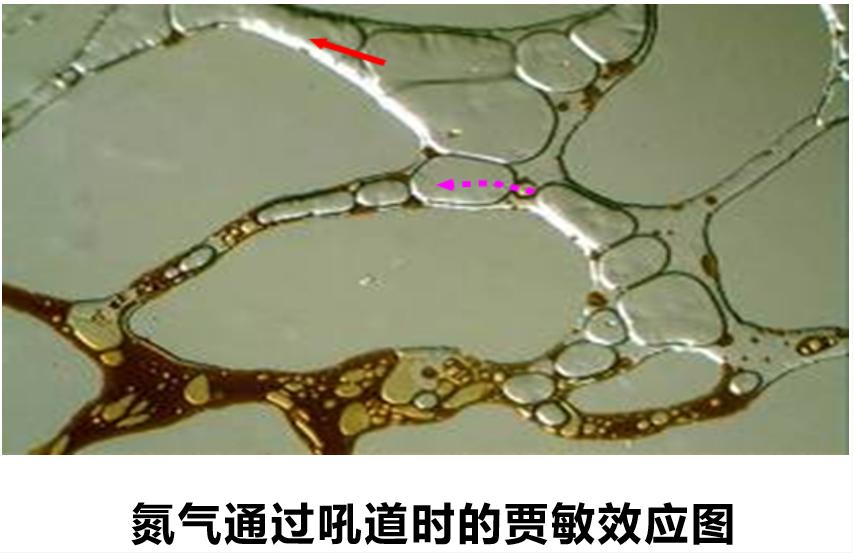 体育app网页版登录