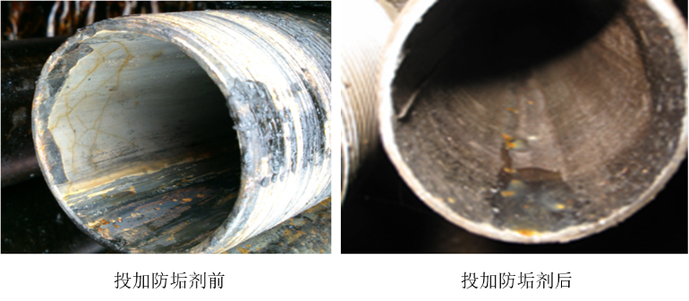 体育app网页版登录