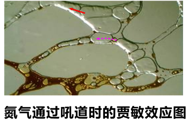 体育app网页版登录